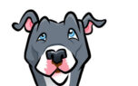 Pit Bull Adoptions